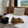 御殿場飯店推薦｜HOTEL CLAD 御殿場：睡醒就能看到富士山，旁邊就是outlet大血拚